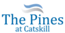 The Pines at Catskill Center