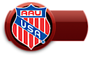 The Real Aau Basketball