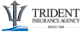 Robert Bell Insurance Brokers's Competitor - The Trident Insurance Agency logo