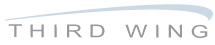 Third Wing Business Strategies's logo Third Wing Business Strategies's Company logo