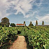 Three Choirs Vineyards