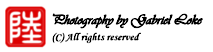 Gabriellokephotography's logo Gabriellokephotography's Company logo