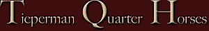 Tieperman Quarter Horses