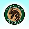 Tina Jo's Promise