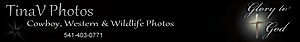 Tina V Photos's logo Tina V Photos's Company logo