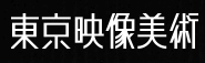 Tokyo Visual Art's logo Tokyo Visual Art's Company logo
