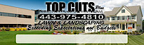 Top Cuts Plus Lawn And Landscaping's logo Top Cuts Plus Lawn And Landscaping's Company logo