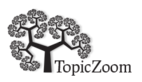 Topiczoom's logo Topiczoom's Company logo