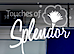 Touches Of Splendor Customized Cleaning