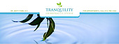 Tranquility Chiropractic Studio