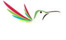Transportation In Costa Rica