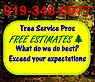 Tree Services Raleigh Nc