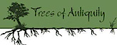 Trees Of Antiquity's logo Trees Of Antiquity's Company logo