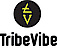 Wizcraft International Entertainment Pvt. Ltd.'s Competitor - TribeVibe logo