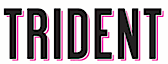 Trident Computer Services's logo Trident Computer Services's Company logo