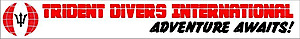 Trident Divers International's logo Trident Divers International's Company logo