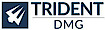 CGPR's Competitor - Trident DMG logo
