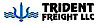Trident Freight's company profile