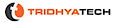 ARE InfoTech's Competitor - Tridhya Tech logo
