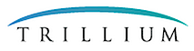 Trillium Solutions Group, Inc.