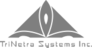 Trinetra Systems's company profile