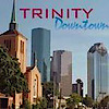 Trinitydt