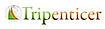 Godwin Holidays's Competitor - Tripenticer logo