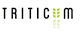 Triticum