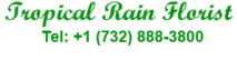 Tropicalrainflorist's logo Tropicalrainflorist's Company logo