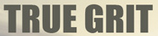 Truegrit's logo Truegrit's Company logo