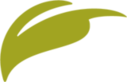 True Leaf