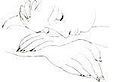 True Midwifery's logo True Midwifery's Company logo
