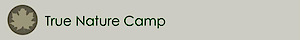 Truenaturecamp