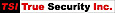 Denversecurityguardservices's company profile