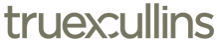 TruexCullins's logo TruexCullins's Company logo