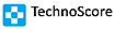 TechnoScore's company profile