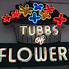 Tubbs Of Flowers's logo Tubbs Of Flowers's Company logo