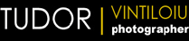 Tudor Vintiloiu's logo Tudor Vintiloiu's Company logo