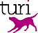 Turi