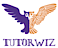 bksb's Competitor - Tutorwiz logo