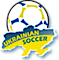Ukrainiansoccer's company profile
