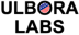 Javvy Technologies's Competitor - Ulbora Labs logo