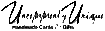 Papersplash's Competitor - Uncommonly Unique logo