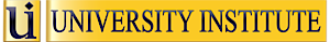 University Institute
