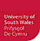 University of South Wales