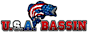 FLW's Competitor - U.S.A. BASSIN logo