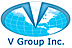 Gotham Technology Group, LLC's Competitor - V Group  logo