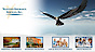 Valicenti Insurance Services