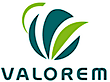 VALOREM 's logo VALOREM 's Company logo