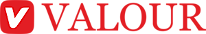 Valourindia's logo Valourindia's Company logo
